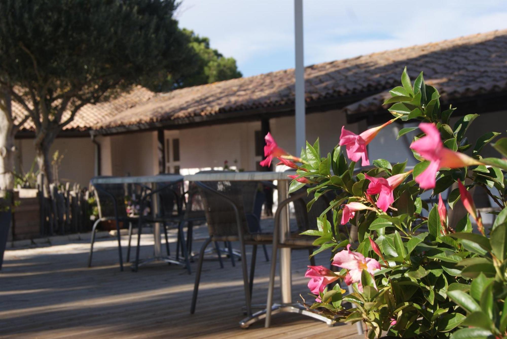 Les Rizieres Hotel Saintes-Maries-de-la-Mer Exterior foto